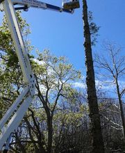 Kerviel Franck image 19