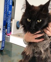 Chez Miss Perle image 7