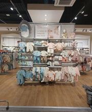 Orchestra ALBI - LESCURE D'ALBIGEOIS image 16