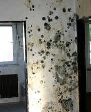 Ebs Inh. M. Raabe Bild 1