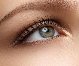 Professional Line esthetics Kosmetik Bad Aibling Bild 2