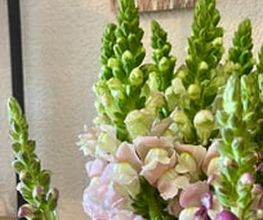Blumenboutique Melanie Bild 8