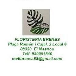 LOGOBRENES.jpg