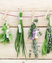 Küng + Steiner AG Bild 4