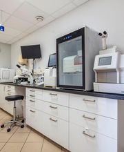 Clinique vétérinaire de Cognac - Sevetys image 1