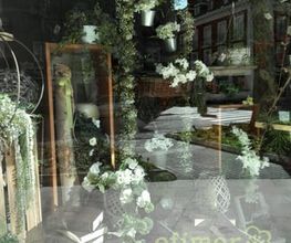 221080641-1-Gc5JASPG9C1525201434746.jpeg