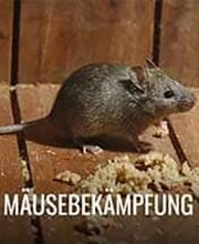 PCS GmbH (APEX) Bild 6