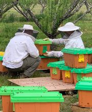 Ncvabeenucs.com image 7