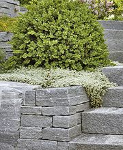 Alfredo Polti SA Bild 12