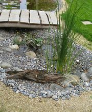 Bison Gartenbau AG Bild 2