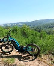 TROTT RIDER image 13