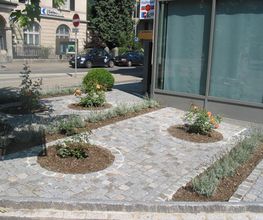 Hadorn Gartenbau Bild 2