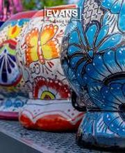 Evans Nursery LLC image 13