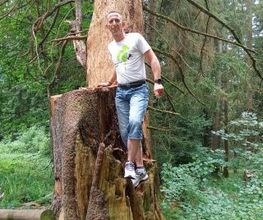 Baumpflege Dreyer Althoff Bild 4