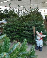 Prévet Paysages image 10