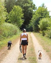 Pet's Heaven image 5