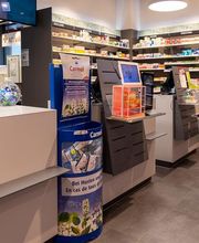 Amavita-Aigle-inside