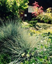 Heyer Gartenbau GmbH Bild 5