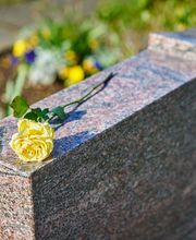 Boireau EURL image 9