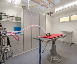 Kleintierpraxis Isenegger Bild 5