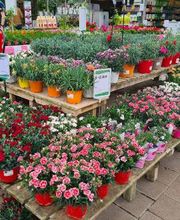 VillaVerde Bourg-en-Bresse image 11