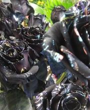 A La Magie Des Fleurs image 10