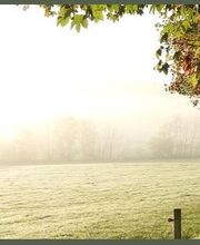 Authon Immobilier image 1