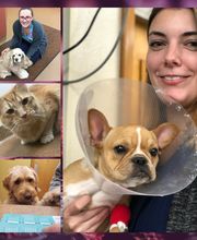 Manchester Veterinary Clinic image 8