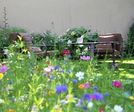 Kaiser Gartenbau GmbH Bild 14