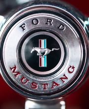 Reul & Keller oHG Bild 11