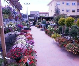garden-arenas-flores-03.jpg