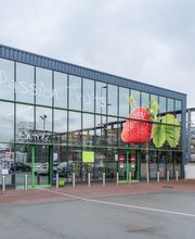 Passion Fruits SAS image 11