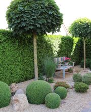 Hoxha Gartengestaltung & Pflege Bild 3