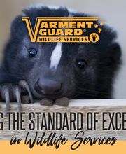 Varment Guard Wildlife Services image 10