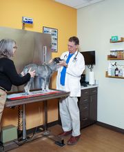 TotalBond Veterinary Hospital at Davidson image 15
