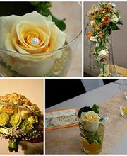 Gartenfachmarkt Richter Bild 8