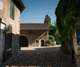 Domaine de Choully Bild 6