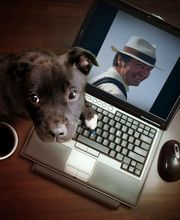 Galerie Boudin image 1