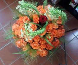 Blumen Fröschel Bild 5