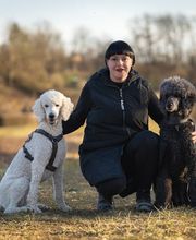 Hundeschule Tanja Kaiser Bild 3