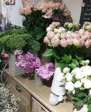 De Feuilles En Fleurs image 7