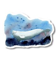 Bioartsense Aquarelle Bild 10