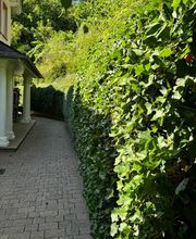 Daily Gartenpflege Bild 16