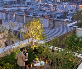 Mandarin Oriental, Paris image 6