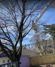 Jim's All Seasons, LLC image 5