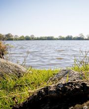 Le Domaine de La Barre Saint-Michel image 10