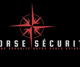 Norse Sécurité image 1