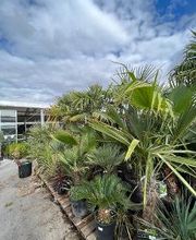 Bricomarché Chauny image 6