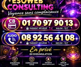 Esoweb Consulting image 3