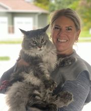 Dog Guard Midwest image 14